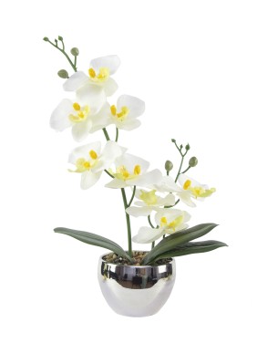 Simulated Phalaenopsis Potted Plant