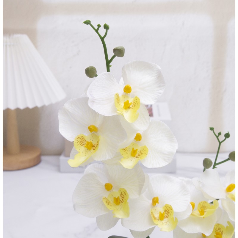 Simulated Phalaenopsis Potted Plant