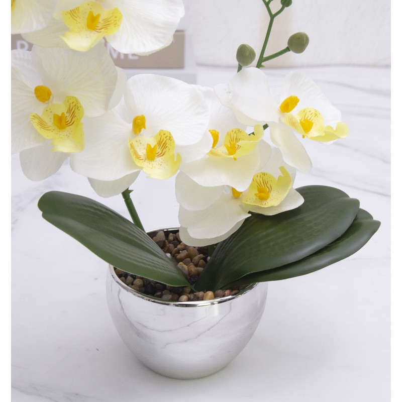 Simulated Phalaenopsis Potted Plant