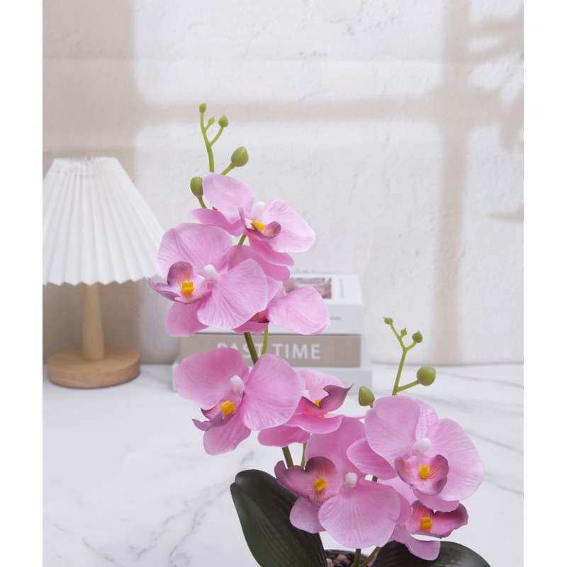 Simulated Phalaenopsis Potted Plant