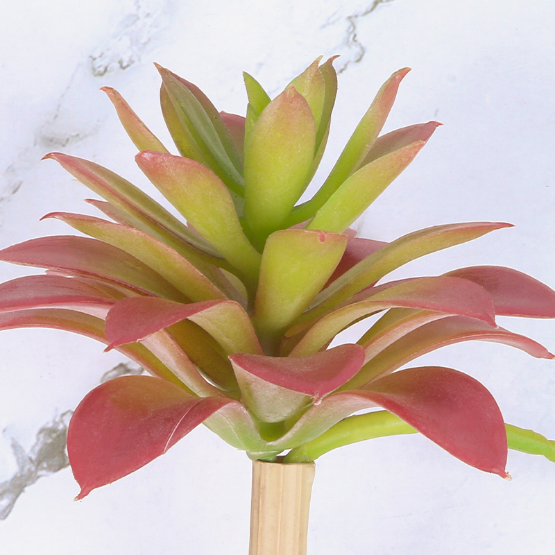 Artificial Plant,set of 2, Indoor/Outdoor Stem Succulent