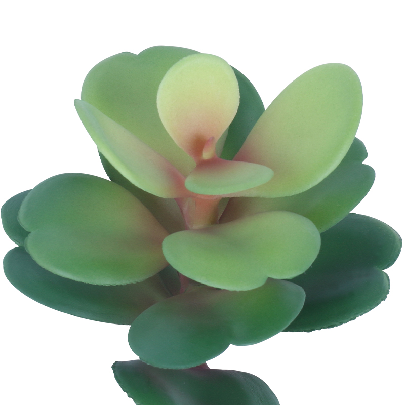 Artificial Plant,set of 2, Indoor/Outdoor Stem Succulent