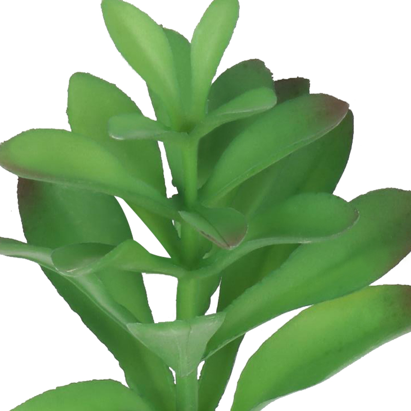 Artificial plant,set of 3,indoor/outdoor stem succulent