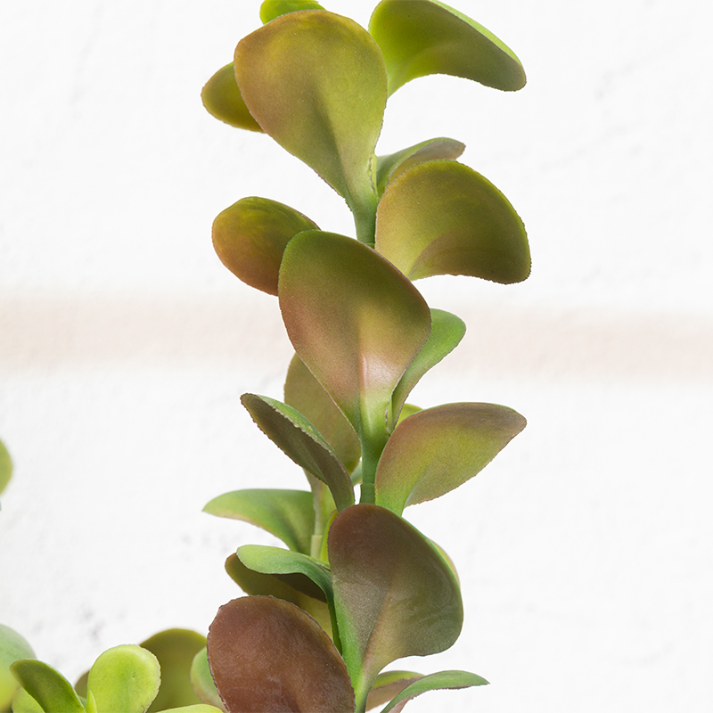 Artificial plant,set of 2,indoor/outdoor stem succulent