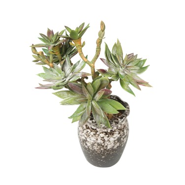 Artificial plant,set of 2,indoor/outdoor stem succulent