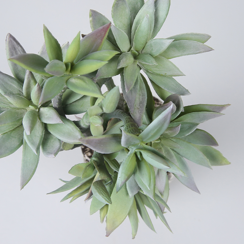 Artificial plant,set of 2,indoor/outdoor stem succulent