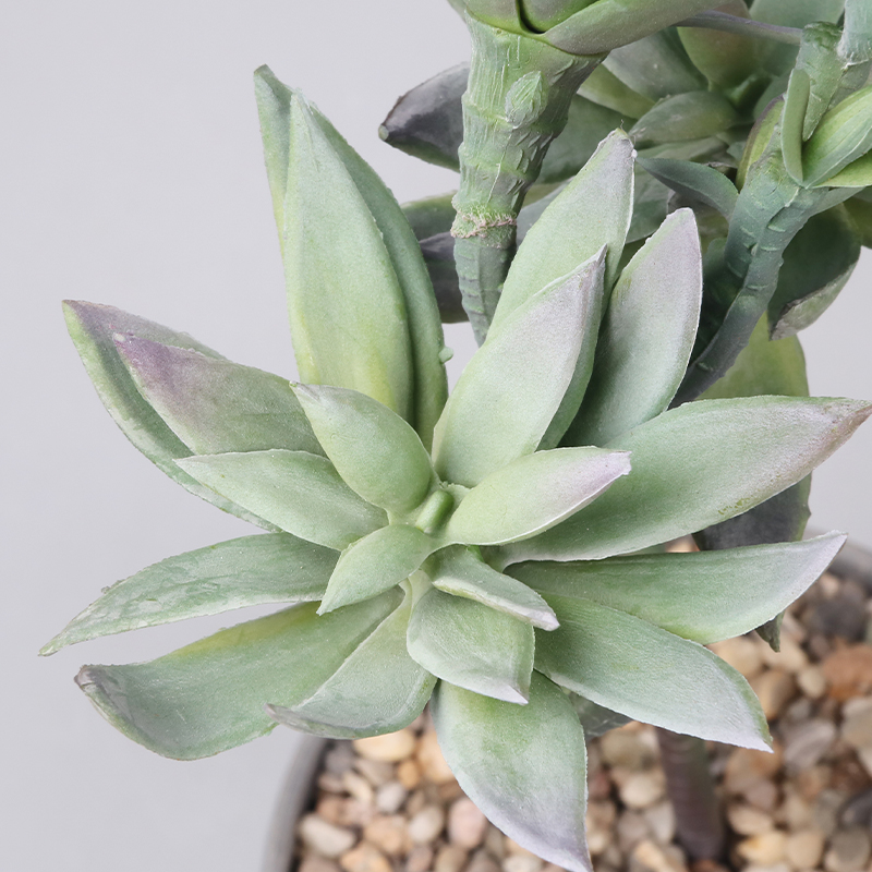 Artificial plant,set of 2,indoor/outdoor stem succulent