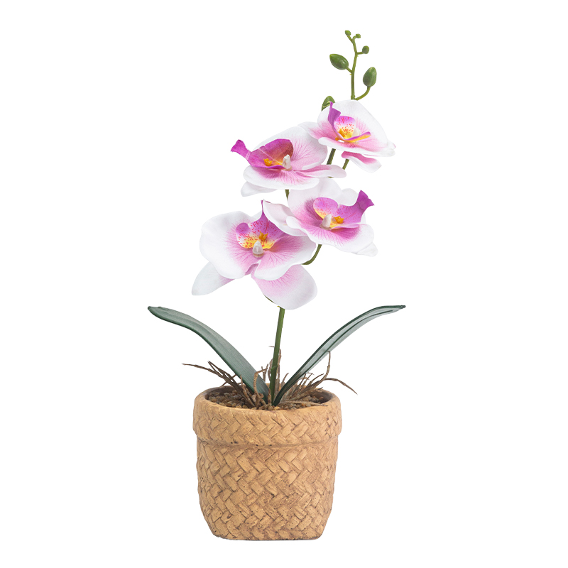 Artifi Butterfly orchid potted plant w pot,  indoor/outdoor flowers , 4.05 inches