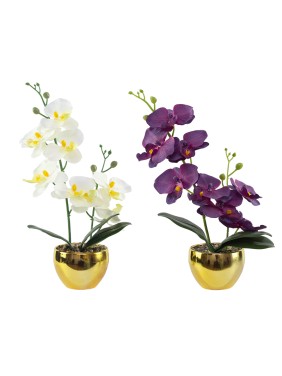 Simulated Phalaenopsis Potted Plant