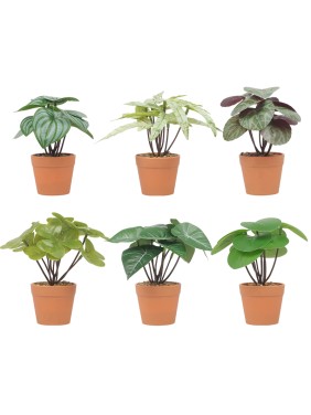 Artifi potted plant w pot, set of 6, indoor/outdoor leaves , 2.6 inches