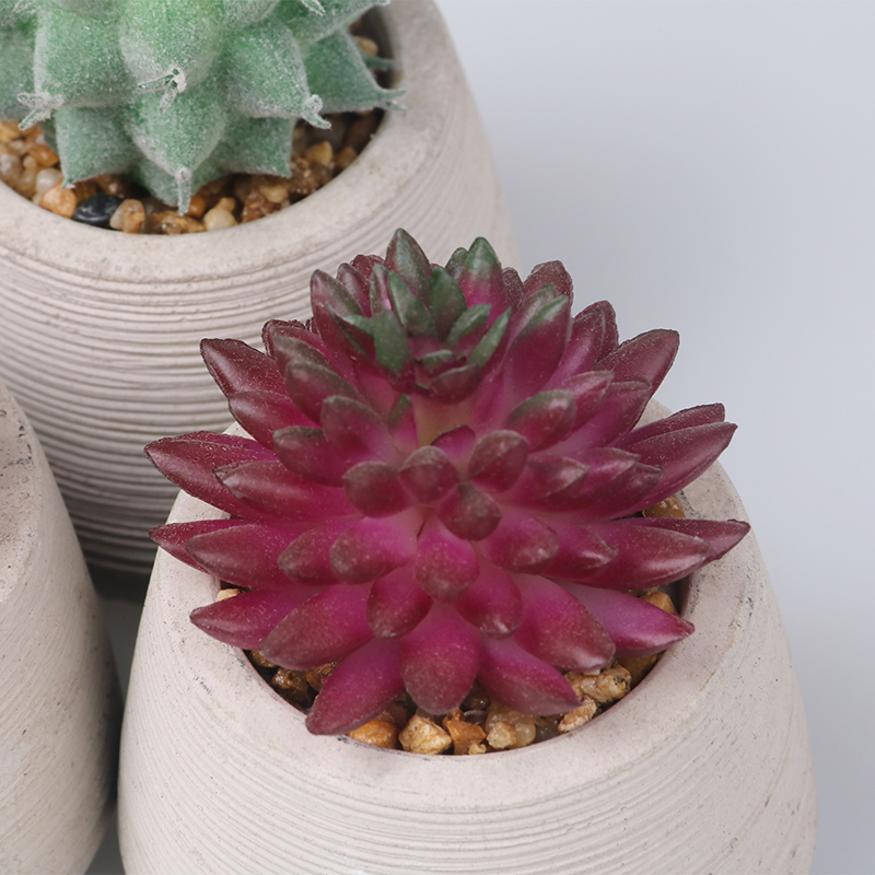 Artifi potted plant pot, set of 3, indoor/outdoor succulent ,2.24inches