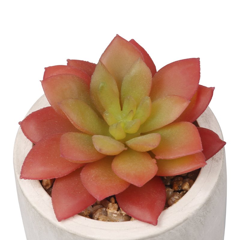 Artifi potted plant pot, set of 2, indoor/outdoor succulent ,2.75inches