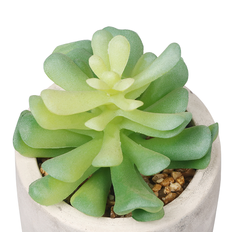 Artifi potted plant pot, set of 2, indoor/outdoor succulent ,2.75inches