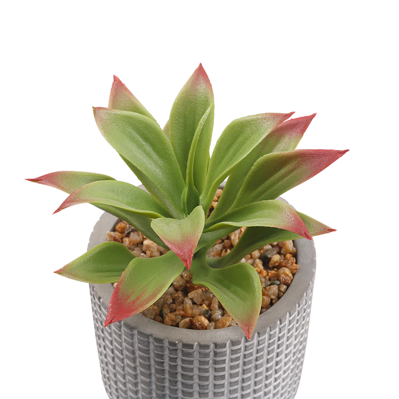 Artifi potted plant pot, set of 3, indoor/outdoor succulent,3.58inches