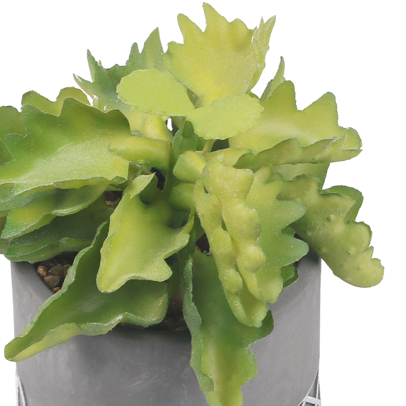 Artifi potted plant pot, set of 3, indoor/outdoor succulent,3.15 inches