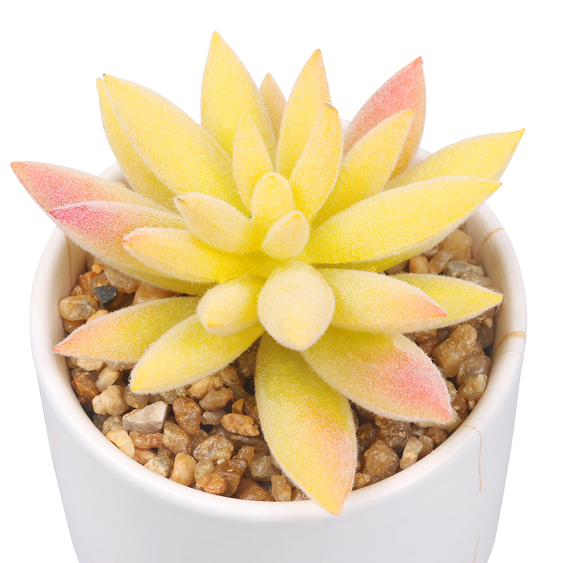 Artifi potted plant w pot,set of 4,indoor/outdoor succulent，2.48inches