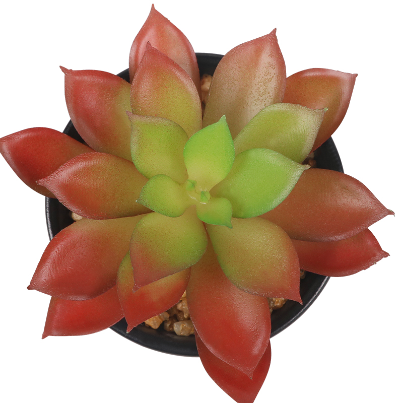 Artifi potted plant w pot,set of 4,indoor/outdoor succulent，2.48inches