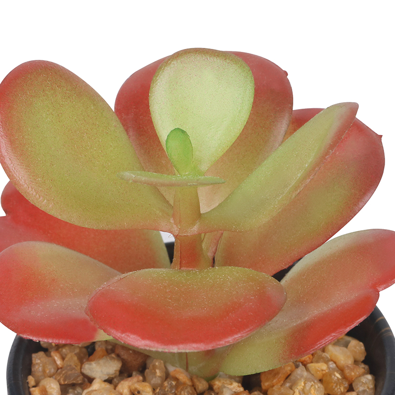 Artifi potted plant w pot,set of 4,indoor/outdoor succulent，2.48inches