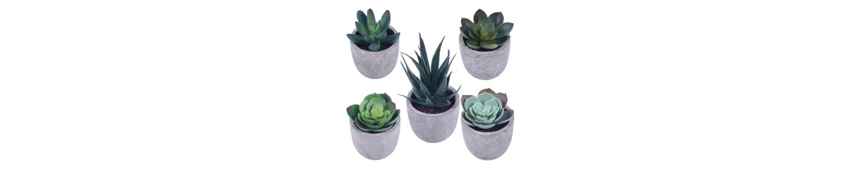 Faux Succulents