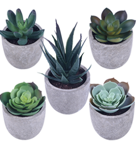 Faux Succulents